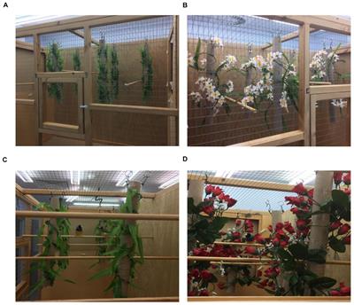 Cognition in a Changing World: Red-Headed Gouldian Finches Enter Spatially Unfamiliar Habitats More Readily Than Do Black-Headed Birds